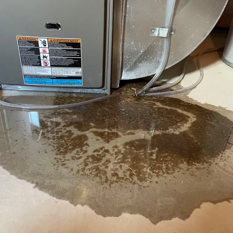 Appliance Leak Cleanup in Warrenton, VA